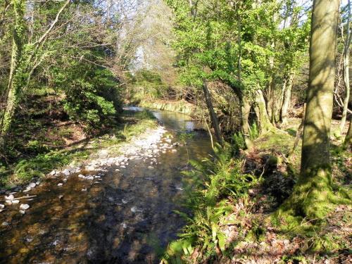 67.-Flowing-to-Bossington-2