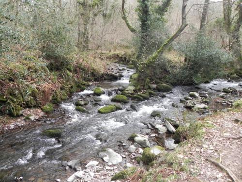 67.-Looking-downstream-from-Horner-Woods-East-Water-footbridge