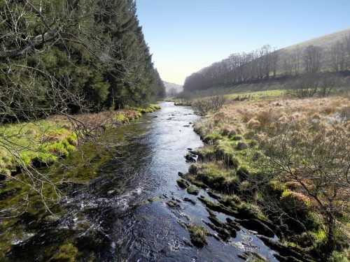 67.-Looking-downstream-from-ROW-Bridge-No.3390-2