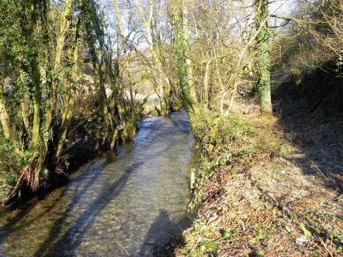 67.-Upstream-from-Enterwell-Cottage-weir-2