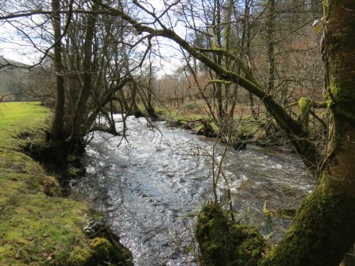 67.-Upstream-from-Hele-Bridge-14