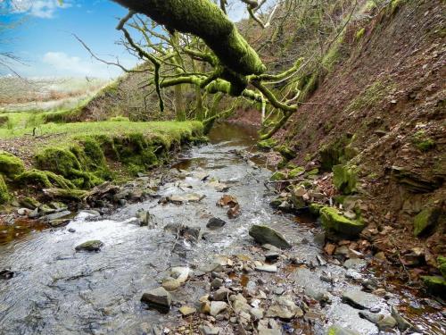 67.-Upstream-from-Willingford-Farm-2