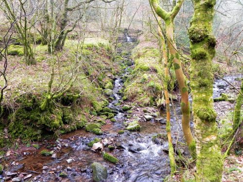 67.-Waters-join-from-Hollow-Combe-2