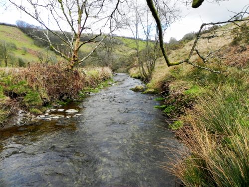 68.-Downstream-from-Sherdon-Bridge-2