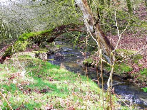 68.-Downstream-from-Withycombe-2