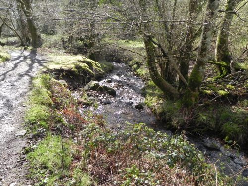 68.-Downstream-from-confluence-with-Shillett-Combe-Water