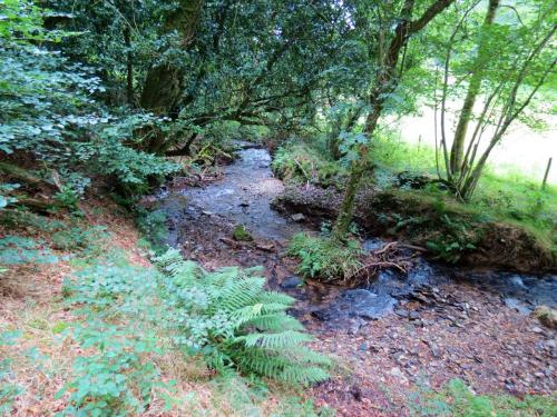 68.-Flowing-below-Stolford-Wood-2