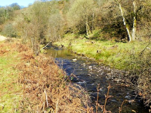 68.-Flowing-past-Anstey-Rhiney-Moor-2