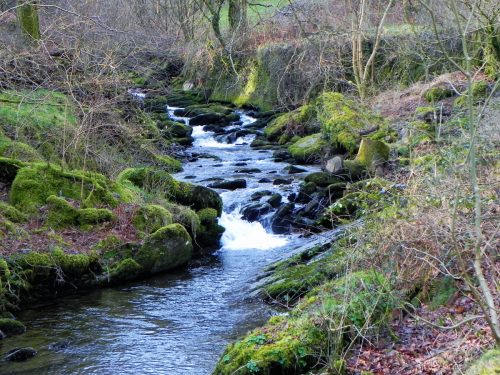 68.-Flowing-through-Combepark-2
