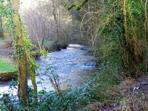68.-Upstream-from-Bury-Bridge-2