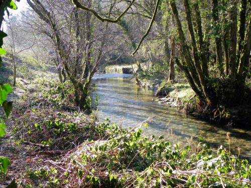 68.-Upstream-from-Enterwell-Cottage-weir-2