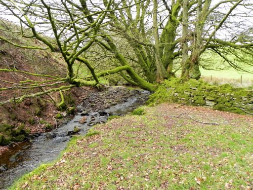 68.-Upstream-from-Willingford-Farm-2
