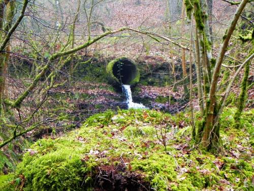 68.-Waters-join-from-Hollow-Combe-2