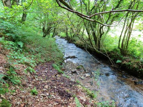 69.-Flowing-below-Stolford-Wood-2