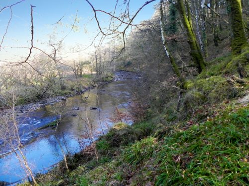 69.-Flowing-past-Dibble-Wood-2
