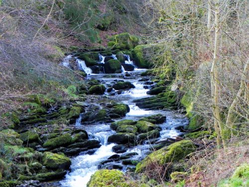 69.-Flowing-through-Combepark-2