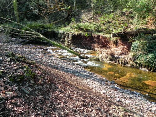 69.-Flowing-to-Bossington-2
