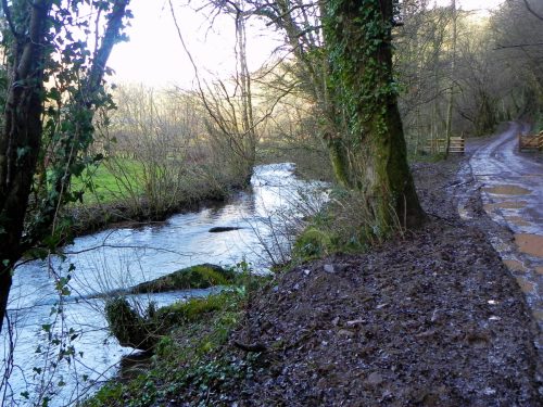 69.-Upstream-from-Bury-Bridge-2