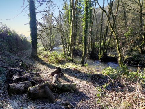 69.-Upstream-from-Enterwell-Cottage-weir-2