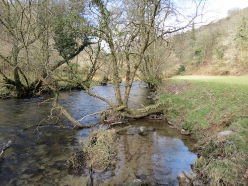 69.-Upstream-from-Hele-Bridge-12
