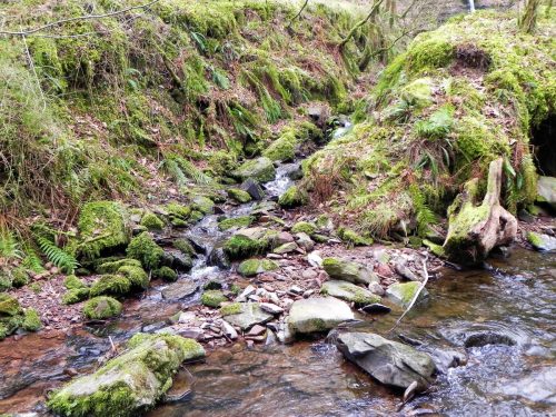 69.-Waters-join-from-Hollow-Combe-2