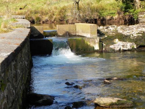 69.-Weir-Fish-Pass-2