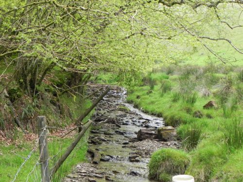 6a.-Flowing-through-Chargot-Woods