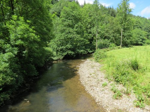 6a.-Looking-upstream-from-Milton-Bridge