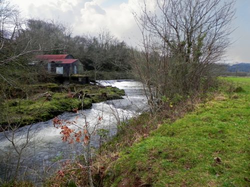 7.-Beasley-Mill-weir-from-East-bank-2