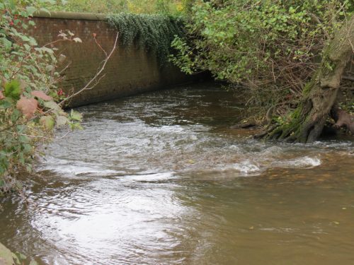 7.-Downstream-from-Ash-Bridge-1