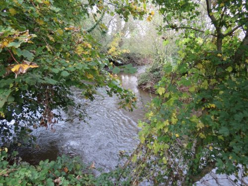 7.-Downstream-from-Ash-Bridge-2
