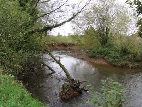 7.-Downstream-from-Ash-Bridge-3