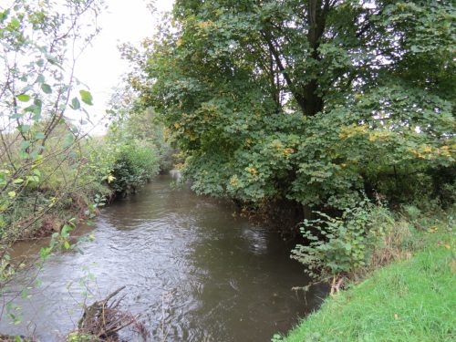 7.-Downstream-from-Ash-Bridge-4