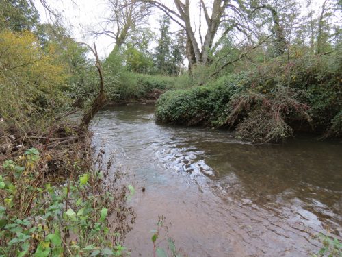7.-Downstream-from-Ash-Bridge-5
