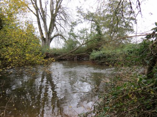 7.-Downstream-from-Ash-Bridge-6