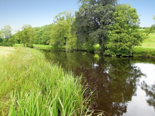 7.-Downstream-from-Brushford-Bridge-14