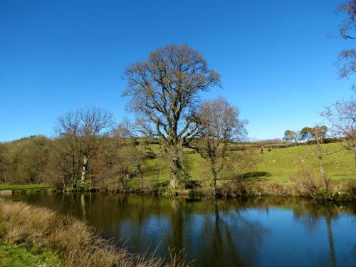 7.-Downstream-from-Brushford-Bridge-4aa-10