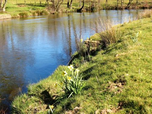 7.-Downstream-from-Brushford-Bridge-4aa-8