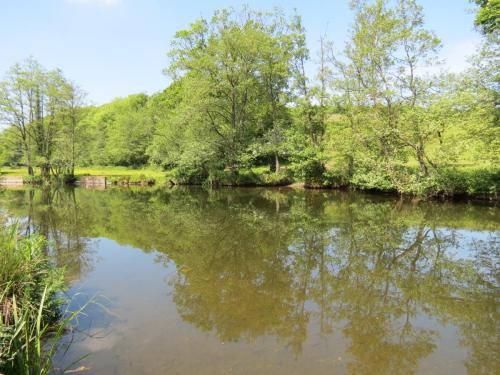 7.-Downstream-from-Brushford-Bridge-4b-1