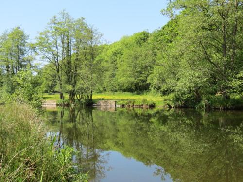 7.-Downstream-from-Brushford-Bridge-4b-2