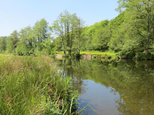 7.-Downstream-from-Brushford-Bridge-4b-3