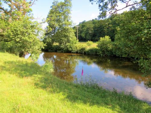 7.-Downstream-from-Brushford-Bridge-4c