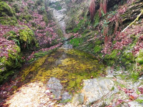 7.-Downstream-from-Dunkery-Gate-2