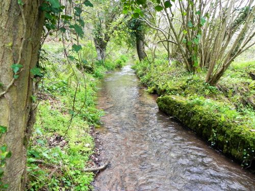 7.-Downstream-from-Dunster-Mill-Leat-Weir-2