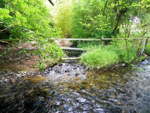 7.-Downstream-from-Furzehill-Bridge