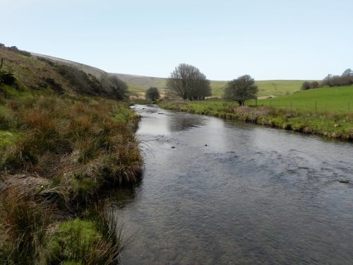 7.-Downstream-from-Landacre-bridge-2