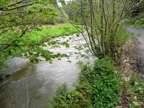 7.-Downstream-from-Langridge-Mills-2
