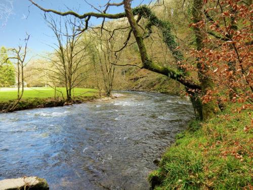 7.-Downstream-from-Marsh-Bridge-1