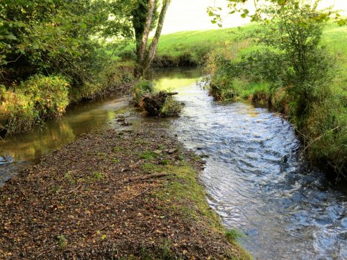 7.-Downstream-from-Nutsford-Bridge-2
