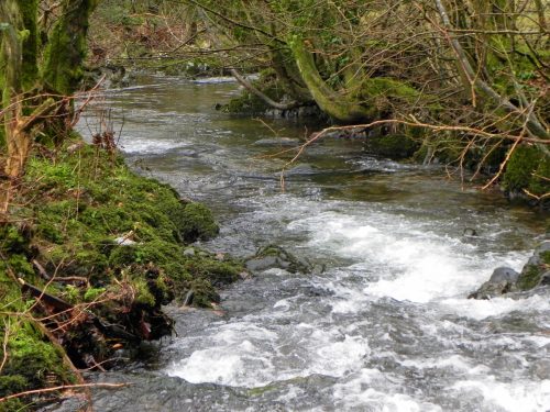 7.-Downstream-from-Oareford-Farm-2